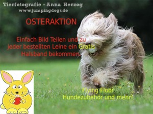 Osteraktion